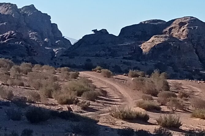 Petra Back-Road Trail and Hike - Pickup and Booking Details
