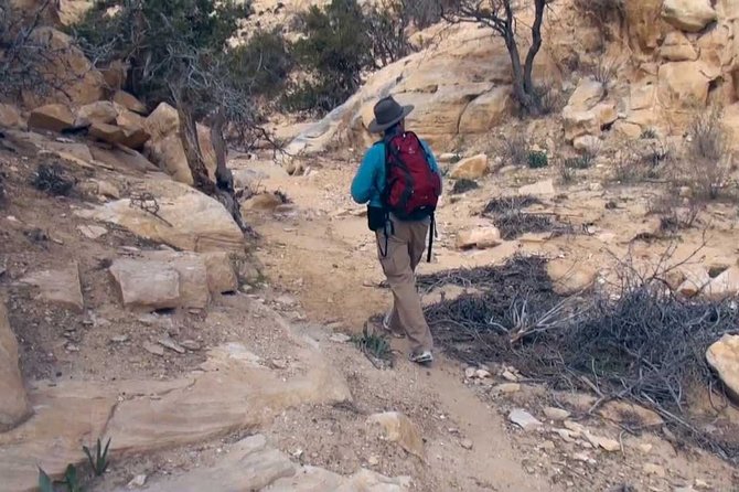 Petra Guided Trails ( Beidha Neolithic Village Trail ) - Meeting Point Details