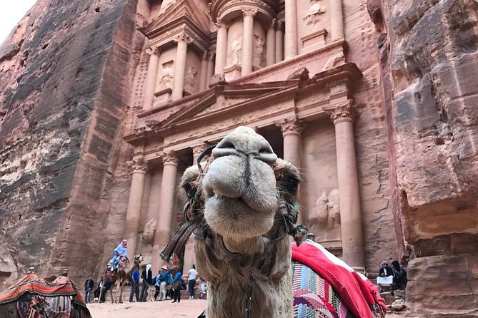 Petra Guided Trails ( Main Trial in Petra ) - Cancellation Policy