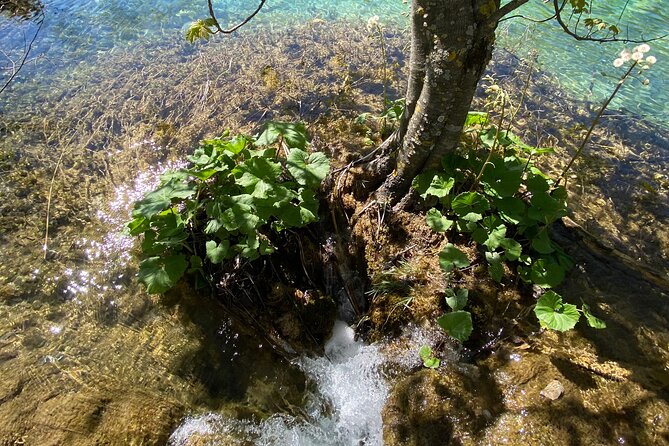 Plitvice Private Tour Driver + Guide up to 8 Ppl From Zadar - Lowest Price Guarantee
