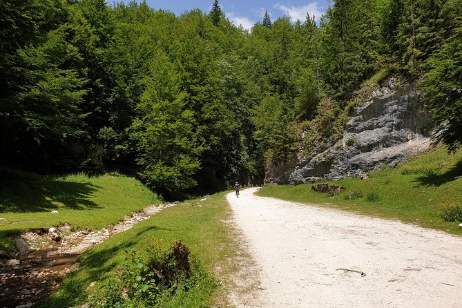 POIANA BRASOV and POSTAVARU CHALET Ebike Tour (BRASOV) - The Sum Up