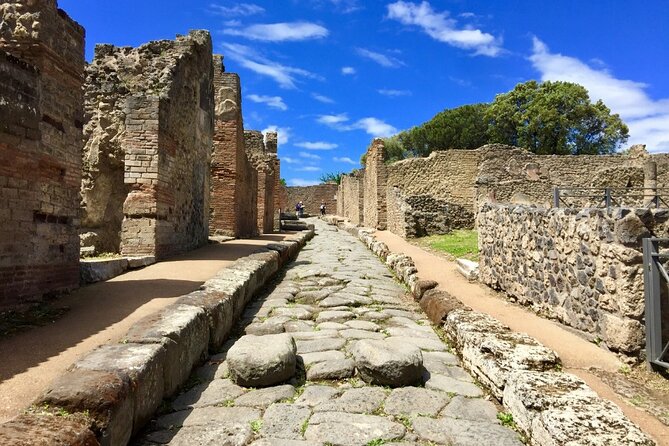 Pompeii and Vesuvius Private Tour With Winery Lunch - Inclusions
