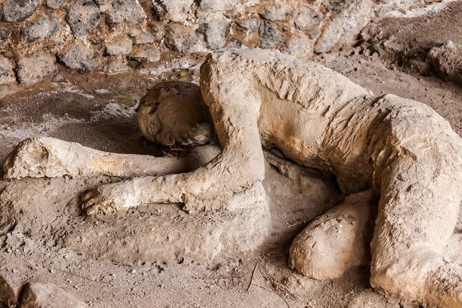Pompeii & Bosco De Medici Winery Skip the Line From Sorrento - End Point