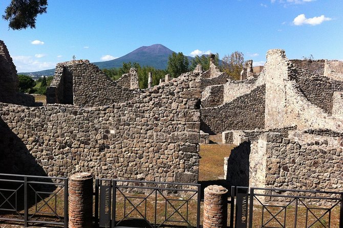 Pompeii - Private Historic Walking Tour - Booking Information