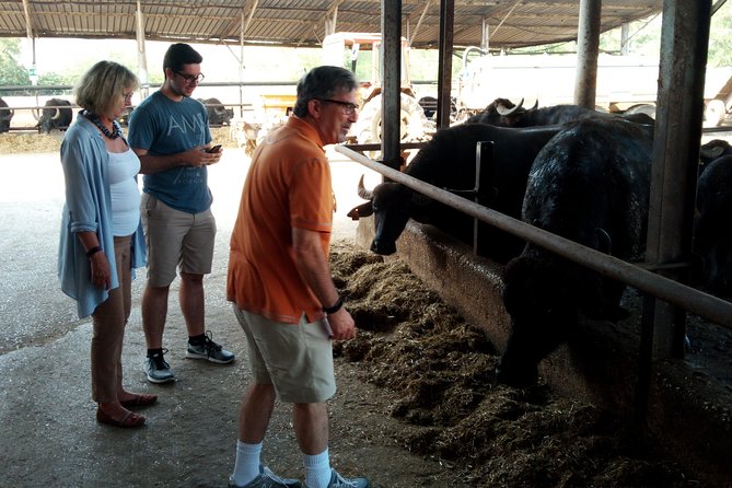 Pompeii Skiptheline and Mt Vesuvius With Lunch&Winetasting From Rome - Wine Tasting and Age Limit