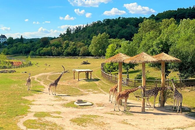 Prague Zoo Ticket With Online Audio Guide - Frequently Asked Questions