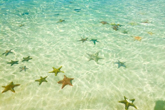 Prison Island (Quarantine Island) Tour and Snorkeling Activities in Zanzibar - Reviews