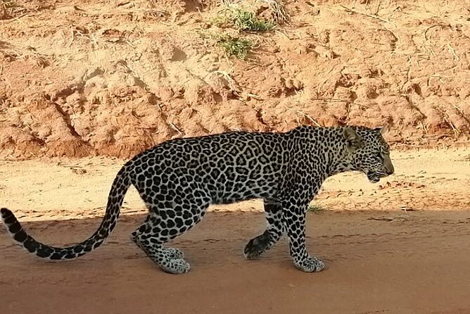 Private 3-Day Tsavo Safari From Mombasa - Frequently Asked Questions