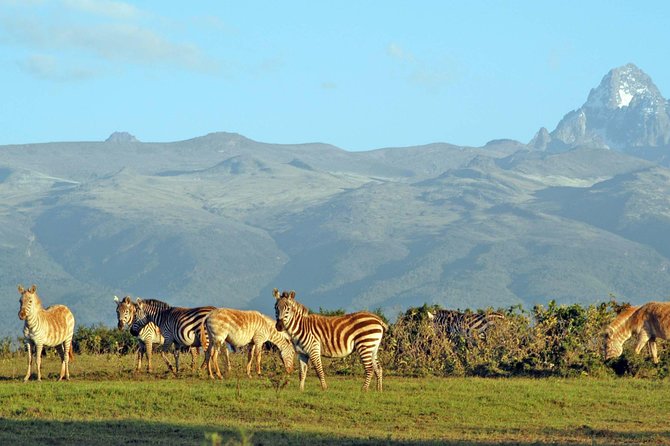 Private 5 Days Mount Kenya, Lake Nakuru & Masai Mara Wildlife Safari - Booking Information