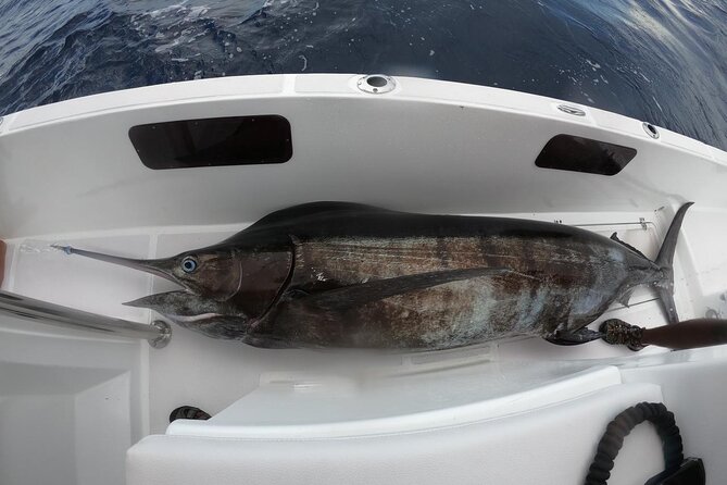 Private Big Game Fishing and Island Hopping Tours - Date and Time Availability