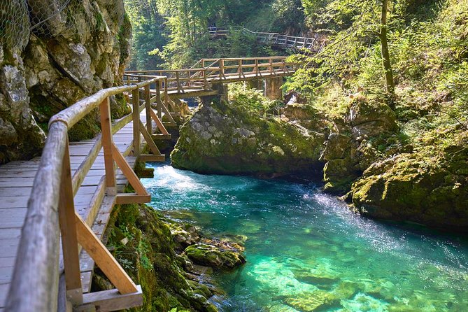 Private Bohinj & Vogel Tour From Bled - Pricing Details