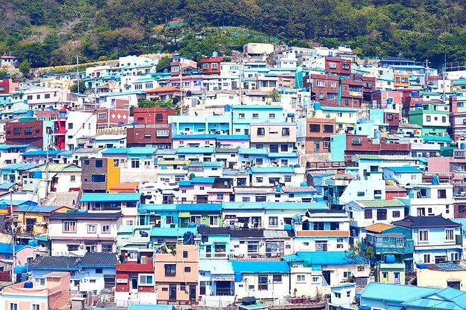 Private Busan Tour With Hidden Gem of Busan by Local Guide - The Sum Up