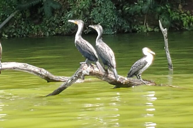Private Canoe or Hike Tour on Lake Duluti - Tour Location and Overview