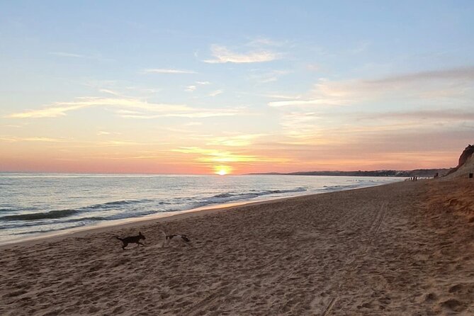 Private City Tour of Albufeira - Directions and Accessibility