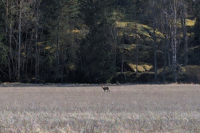 Private Day Road Trip From Helsinki: Raseborg, Fagervik, Porkkala - Additional Information
