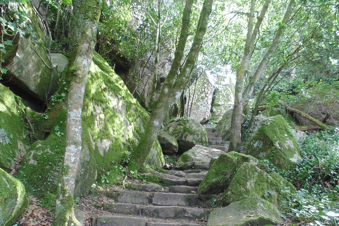 Private Day Tour From the Centre to the Highest Point in Sintra. - Frequently Asked Questions