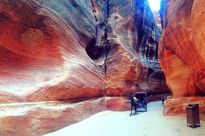 Private Day Tour to Petra From Amman or Dead Sea - Review