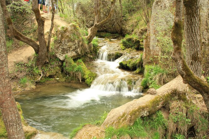 Private Day Tour to Pure Nature of Zlatibor Mountain - Pricing and Booking