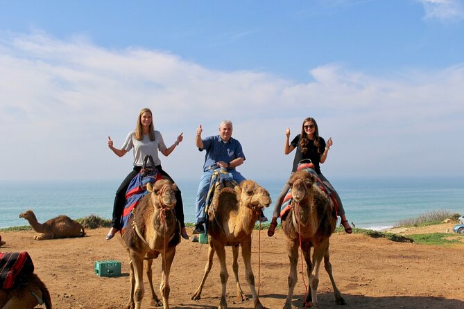 Private Day Tour to Tangier From Tarifa or Algeciras - Additional Information