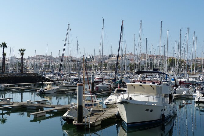 Private Day Trip From Lisboa to Lagos With a Two-Way Transfer - Vehicle and Driver