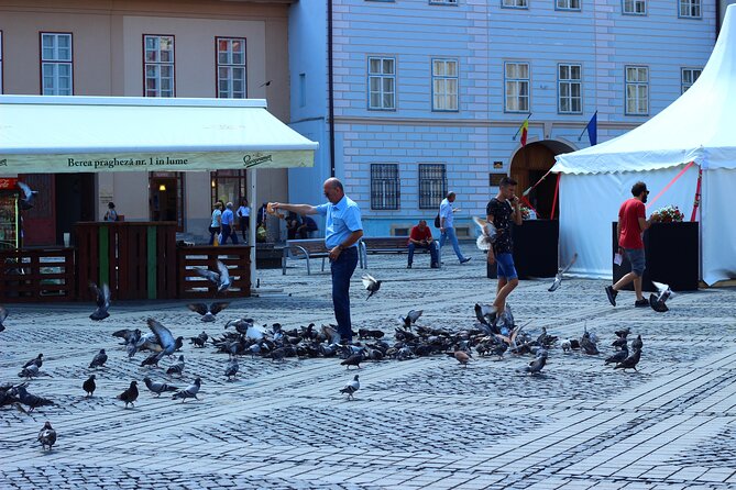 Private Day Trip to Sibiu and Fagaras Fortress, From Brasov - Lunch and Beverages