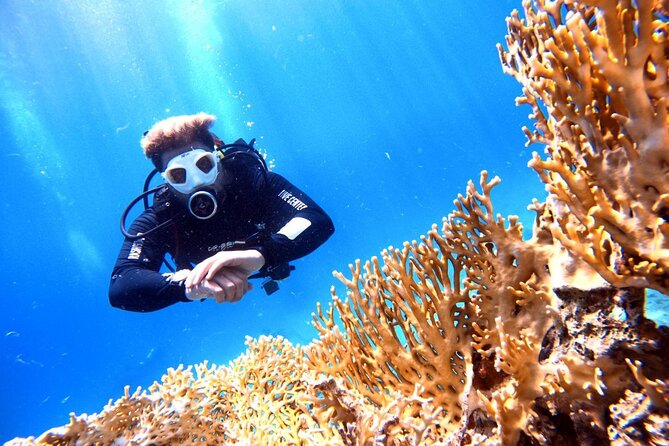 Private Diving Experience in The Heart of Red Sea in Aqaba - Important Additional Information for Guests