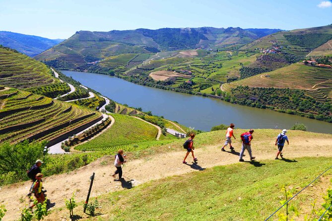 Private Douro Tour With Lunch Wine Tasting Boat and Train Cruise - Itinerary Overview