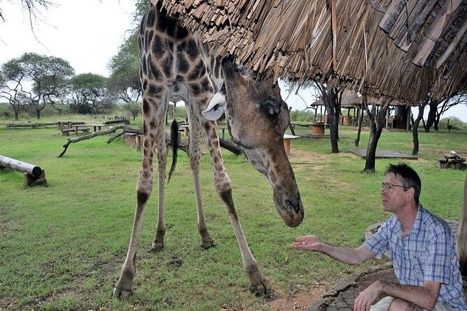 Private Full Day Day Trip to Mombasa City - Additional Info