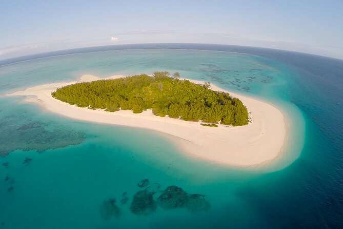 Private Full-Day Dhow Cruise to Mnemba Island Reef for Snorkeling - What To Expect