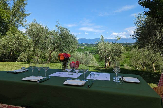 Private Full Day Tour and Yoga of the Prosecco Hills - Booking Information