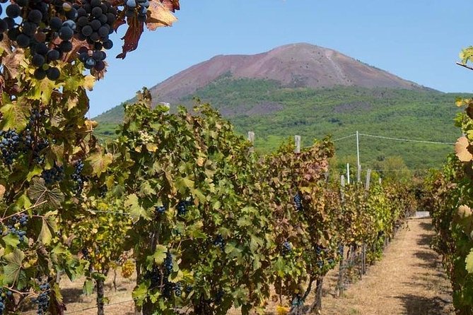 Private Full Day Tour Herculaneum Mt Vesuvio and Winery - The Sum Up