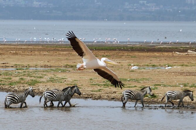 Private Full Day Tour in Lake Naivasha - Frequently Asked Questions