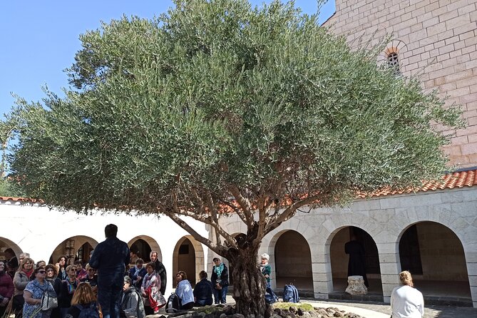 Private Full-Day Tour to Nazareth and Sea of Galilee - Pricing and Booking Information