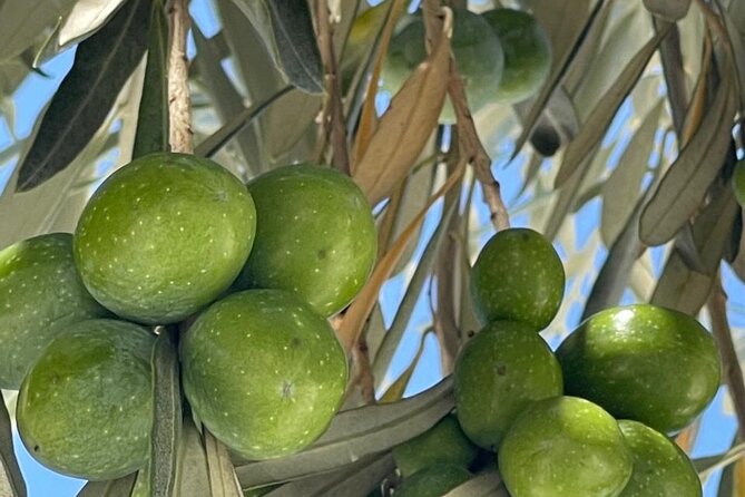 Private Full Day Tour to Nemea Wineries From Attica - Directions