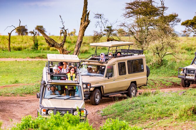 Private Full Day Trip in Lake Manyara National Park - The Sum Up
