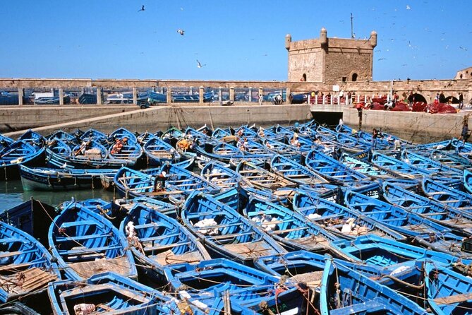 Private: Full Day Trip to the Essaouira - Cultural Experiences
