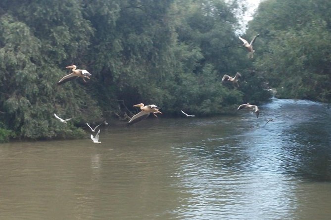 **Private Group Escapes: Exclusive Danube Delta Tours** - Accessibility Information
