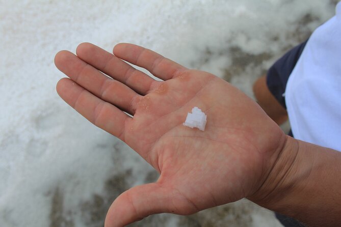 Private Guided Tour Tasting of Dubrovnik - Additional Information