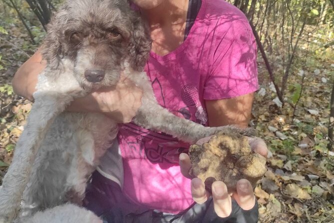 Private Guided Truffle Hunting Tour in Serbia With Brunch - Accessibility Notes