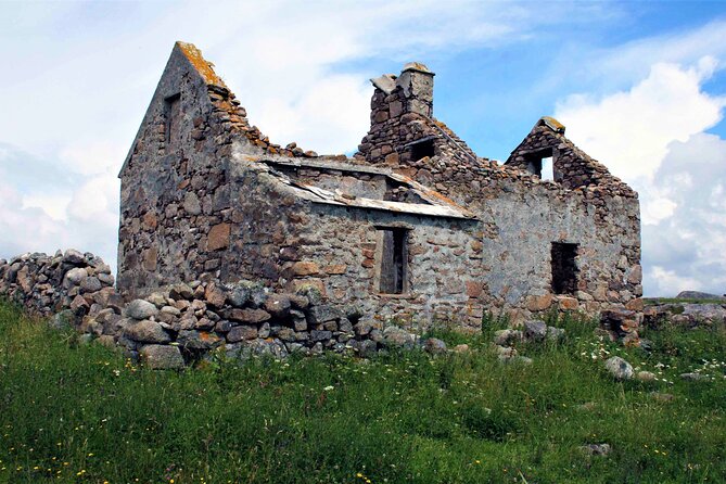 Private Guided Walking Tour of Omey Island in Connemara - Operator and Price