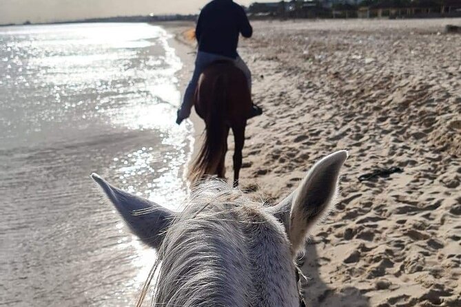 Private Horseback Ride at Sunset in Hammamet - The Sum Up