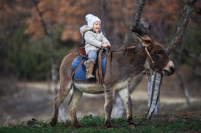 Private Mules Tour From Chefchaouen - Tour Experience
