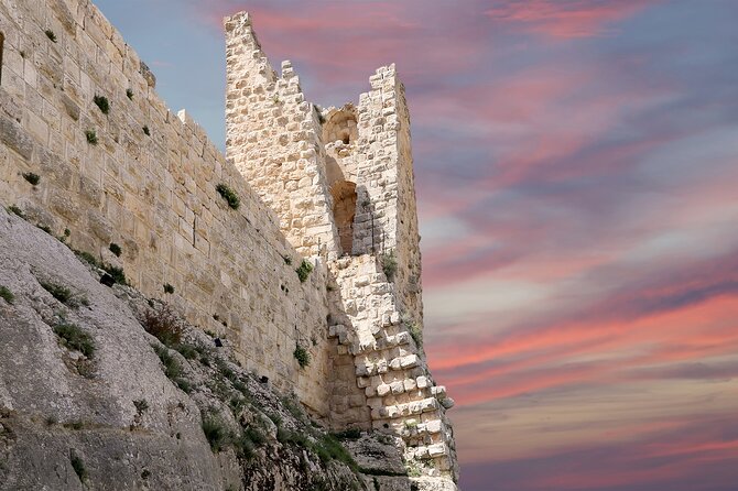 Private North Tour to Jerash, Ajloun, and Umm Qais From Amman - Additional Information