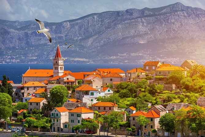 Private One Way Transfer From Brac to Split - Cancellation Policy