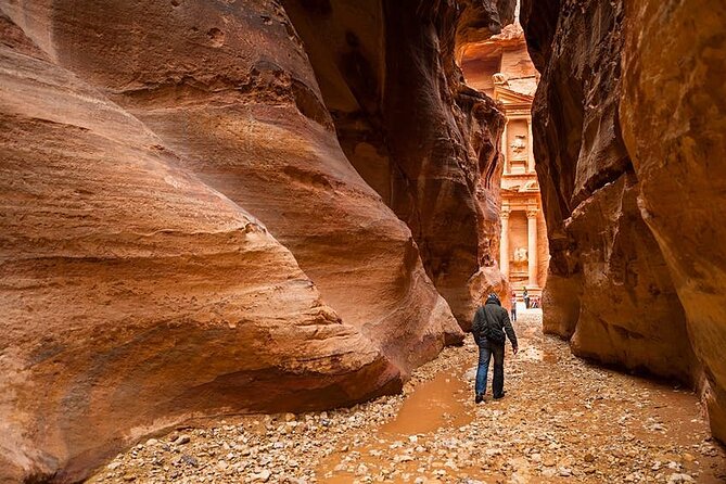 Private Petra Sightseeing Day Tour From Aqaba Port - Reviews