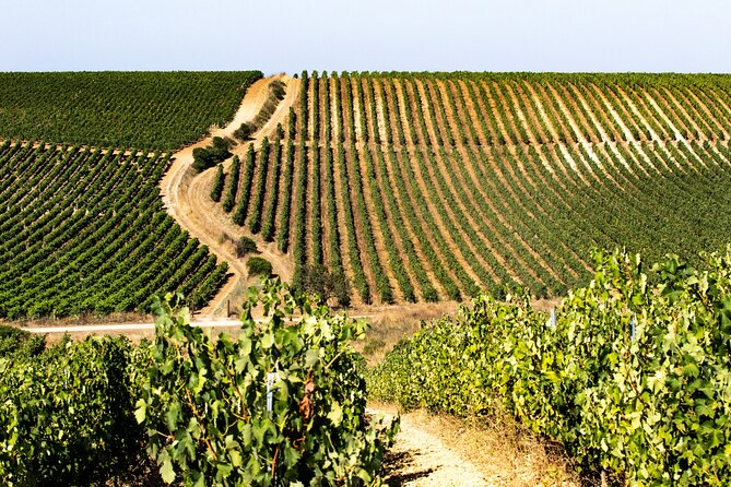 Private Sardinian Wine Experience - Pricing Details