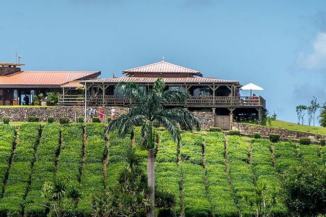 Private South of Mauritius With Tea Tasting, Lunch & VORTEXENERGY - What To Expect