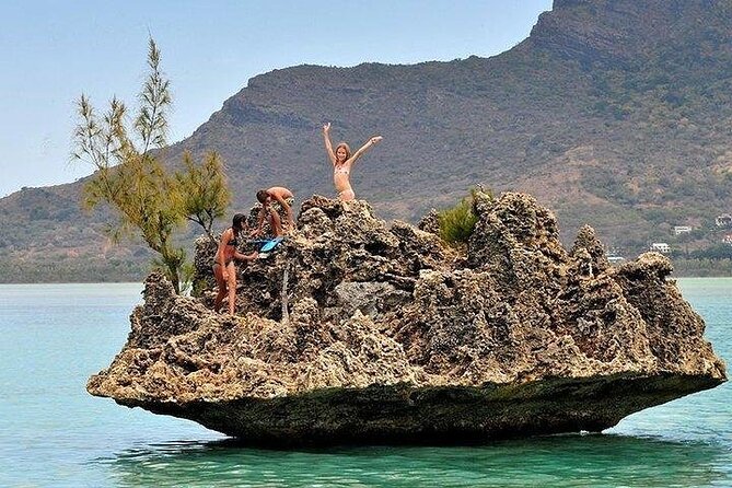 Private Speed Boat Tour and Dolphin Encounter at Ile Aux Benitier - Cancellation Policy