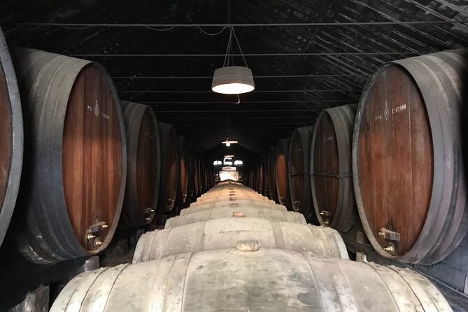 Private Tour Azeitão and Arrábida Wine Cellar From Lisbon - Tour Details