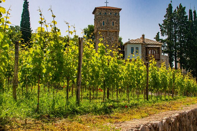 Private Tour From Montenegro: Trebinje & Tvrdos Monastery W/ Wine & Food Tasting - The Sum Up